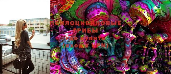 дмт Ладушкин
