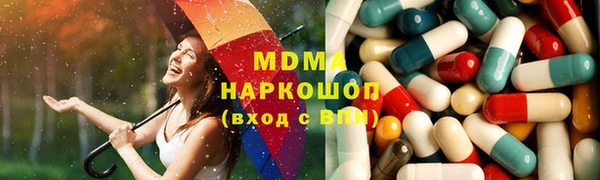 шишки Инта