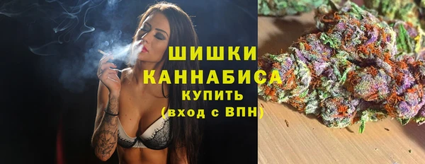 шишки Инта